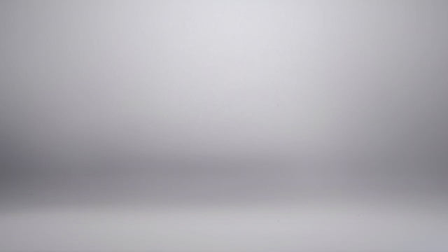 videoplayback.mp4