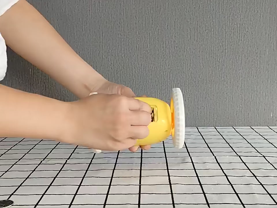 BN2910.mp4